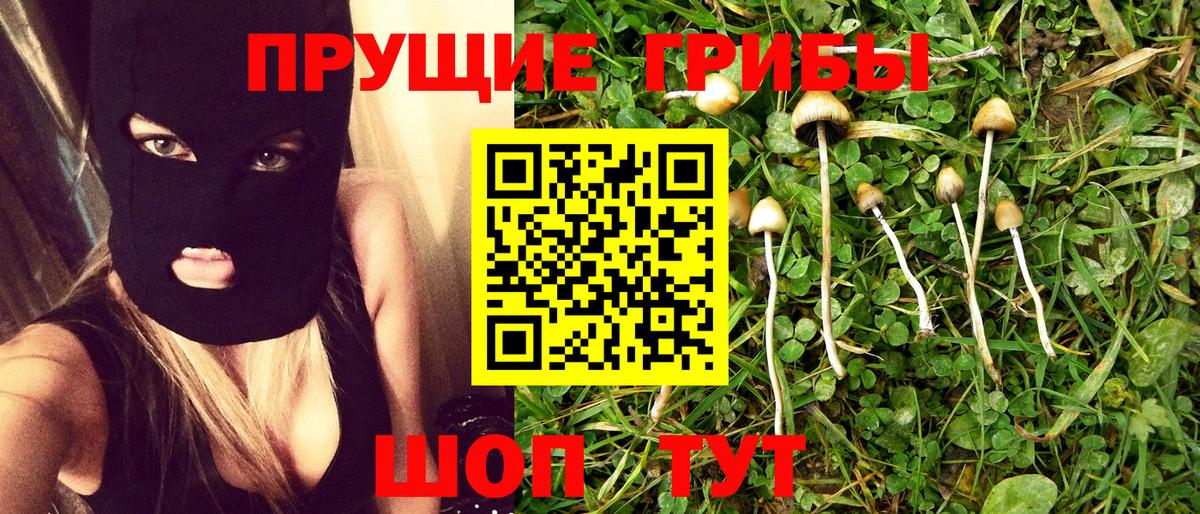 дарнет шоп  Галлюциногенные грибы GOLDEN TEACHER  Вход с VPN  Галлюциногенные грибы GOLDEN TEACHER  Борзя 